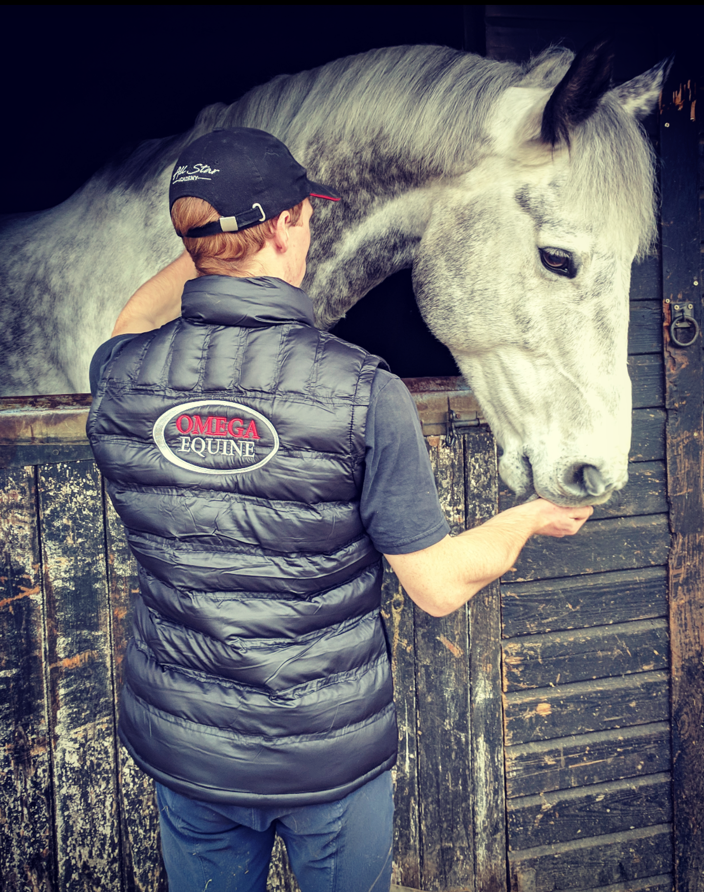 Omega Equine Gilet
